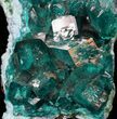 Gemmy Dioptase Cluster (Large Crystals) - Namibia #44660-3